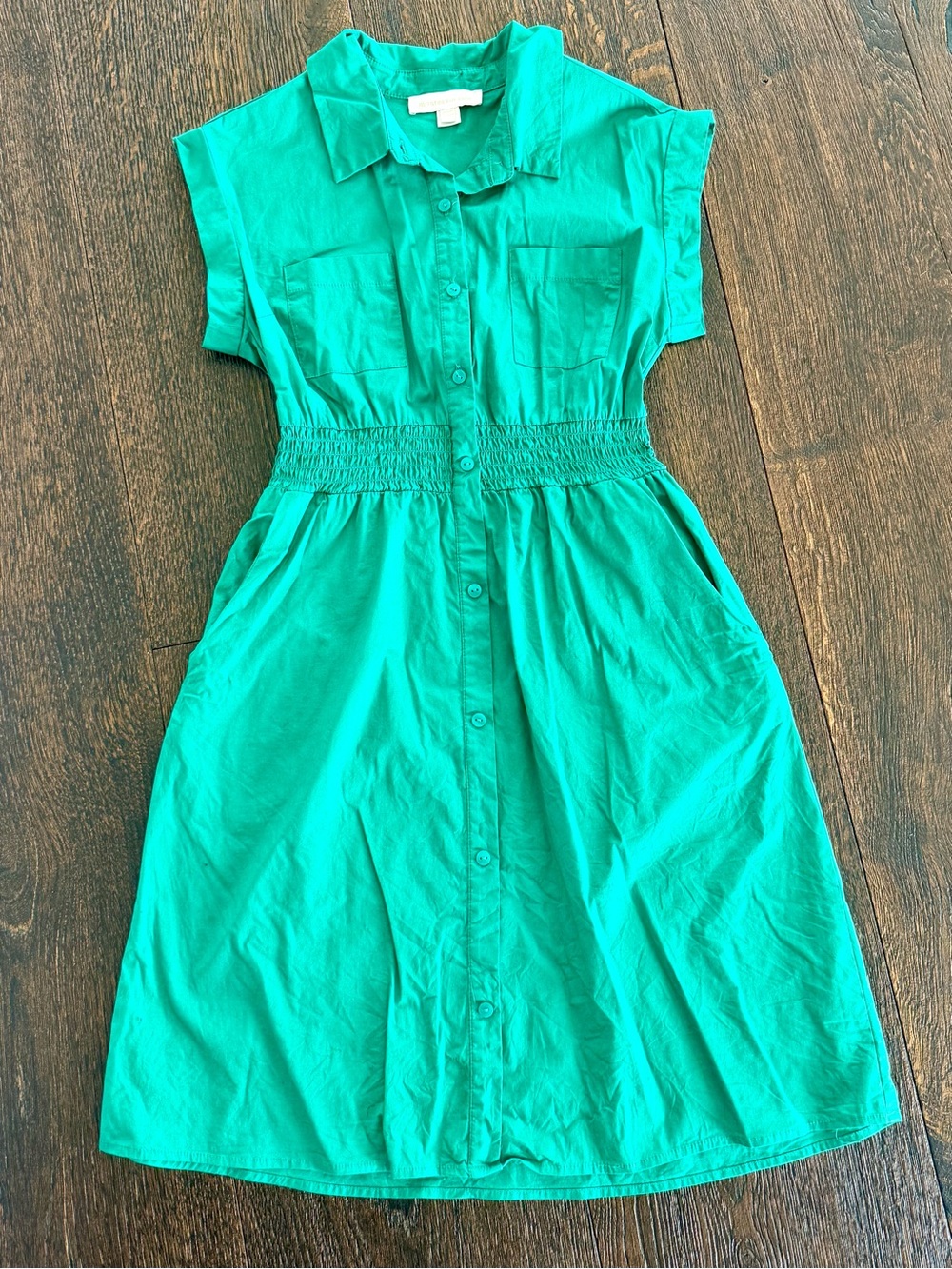 Monteau Button-Front Shirt Dress